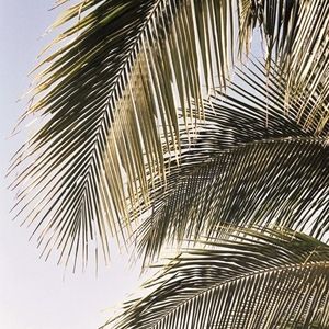 Meet your Posher, CC